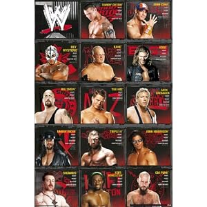 WWE Superstars Stats – 91.5x61cm
