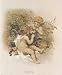 Adoring Cupids by Willard Fowler Art Print Poster