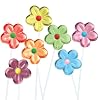 Flower Twinkle Pops, 120 ct. Assorted 7 Flavors