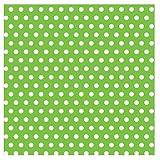 UPC 013051285746 product image for Amscan Kiwi with Polka Dot Jumbo Gift Wrap | upcitemdb.com
