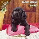 Cocker Spaniel Puppies 2008 Wall Calendar