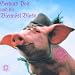 Tipps f�r Walter
