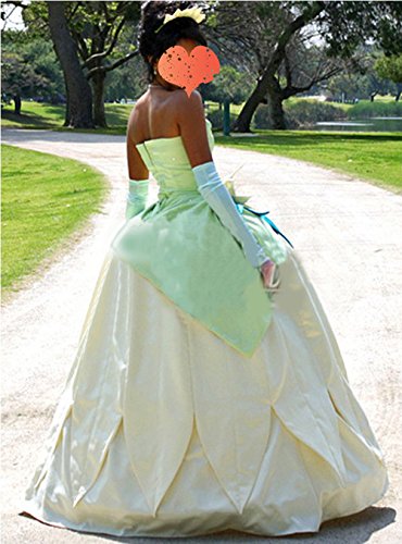 Shining Adult The Princess And The Frog Costume Princess Tiana | Desertcart  Tunisia