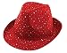 Sparkle Fedora Hat
