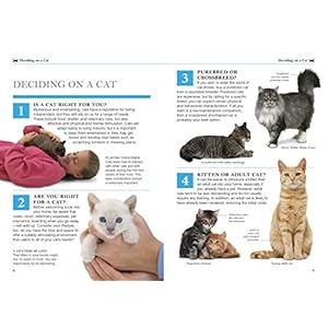 101 Essential Tips: Cat Care