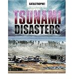 Tsunami disasters