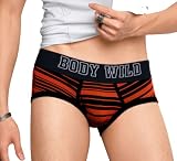 グンゼ BODY WILD RootsSport ローライズボクサー BWR140V