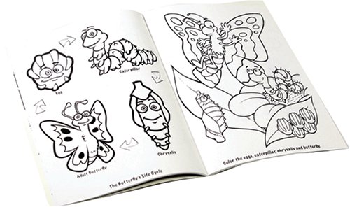 Childrens Toyshop  Toys : Bug Lifecycle Fun Book
