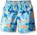 Candlesticks Boys' Toddler Shark Rash Guard Set