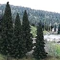 Ready Made Trees Value Pack, Evergreen 4-6" (18)