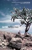 The Plain in Flames (Joe R. and Teresa Lozano Long Series in Latin American and Latino Art and Culture)