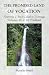 The Promised Land Of Vocation Knowing if You're Called to Marriage, Religious Life, or the Priesthood DVD