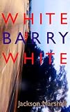 White Barry White - A Crime Novel