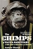 The Chimps of Fauna Sanctuary