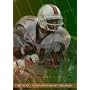 Miami Hurricanes Football 2001 Championship
