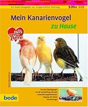 Kanarienvogel, zu Hause: Ein bede-Ratgeber zur artgerechten Haltung