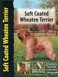 Soft Coated Wheaten Terrier (Pet Love S.)