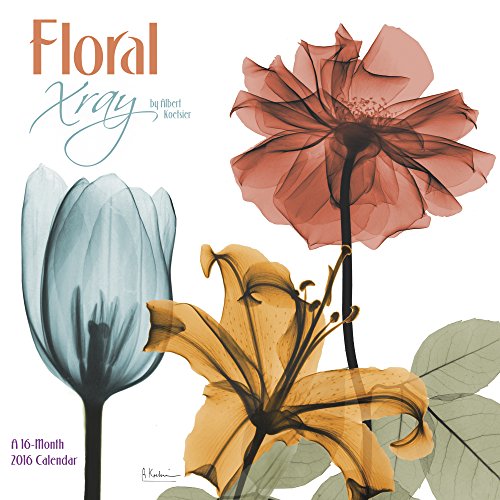 Floral Xray Wall Calendar (2016)