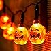 Xcellent Global Battery Powered 3D Jack-O-Lantern Pumpkin 20 LED String Lights Halloween Decoration Lights, Warm white 7.2ft/2.2meters M-LD067