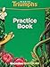 Reading Triumphs Practice Book (Grade 4)