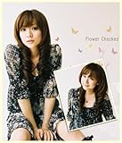 fB[vWG[@`FbNt[s[XEubN ()