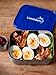 LunchBots Uno Stainless Steel Food Container, Blue