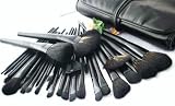 SHANY Super Professional Brush Set with Leather Pouch, Goat & Badger Hair, 32-Pieces