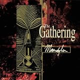 GATHERING THE MANDYLION
