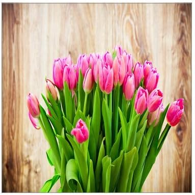 Creative Modern Art Giclee Canvas Print Pink Tulip Flower Prints On Canvas 12" x 12" Inch, Stretched and Framed Home Decor Wall Living room Office Canvas Art Wall