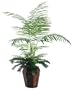 5' Artificial Potted All Natural Mixed Tropical Palm Tree - Unlit