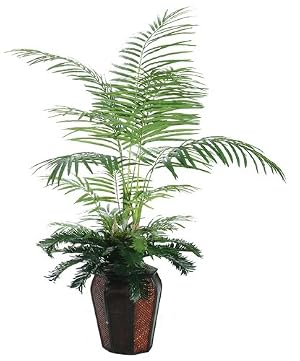Mixed Tropical Palm Tree