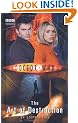 Doctor Who - The Art of Destruction (New Series Adventure 11)