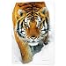 GB eye 3D Poster, Tiger, Snow, 47 x 67cm