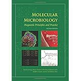 molecular microbiology diagnostic principles and practice
