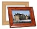 Tricod 10.4-Inch Digital Photo Frame with Interchangeable Face Plate