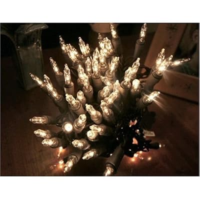 Clear String Lights Set of 35 Brown Wire