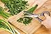 Kuuk 5-Blade Herb Scissors - Stainless Steel