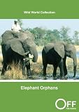 Elephant Orphans