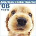 cocker spaniel - American Cocker Spaniel The Dog 2008 Wall Calendar