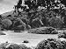 Well Kept Gardens and Lawns of Muckross House Photographic Poster Print, 16x12