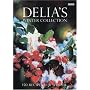 Delia's Winter Collection