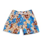 Max Out - Toddler Boys Bathing Suit, Camel, Blue