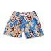 Max Out - Boys Bathing Suit, Camel, Blue
