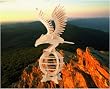 Eagle 3D Woodcraft Construction Kit