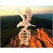 Eagle 3D Woodcraft Construction Kit