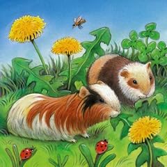 Ravensburger 09414 - Nagetiere 3 x 49 Teile Puzzle