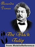 The Black Tulip (mobi)