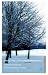 Winter Notes on Summer Impressions (Oneworld Classics)
