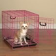 Crate Appeal - 24"L x 17"W x 20"H Crate - Pink Punch