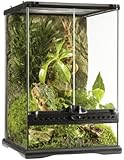 Exo Terra Glass Terrarium, 12 by 12 by 18-Inch